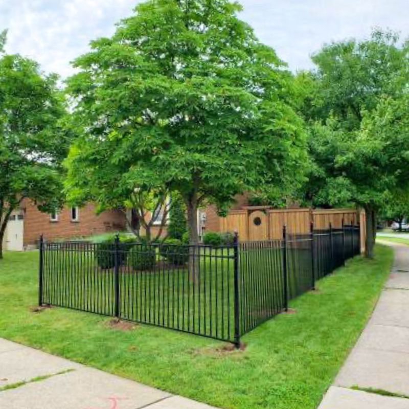 Assorted fence designs featuring iron, chain link, wood, and greenery, demonstrating creative 'Fence Mullet' options for cost-effective and stylish property boundaries.