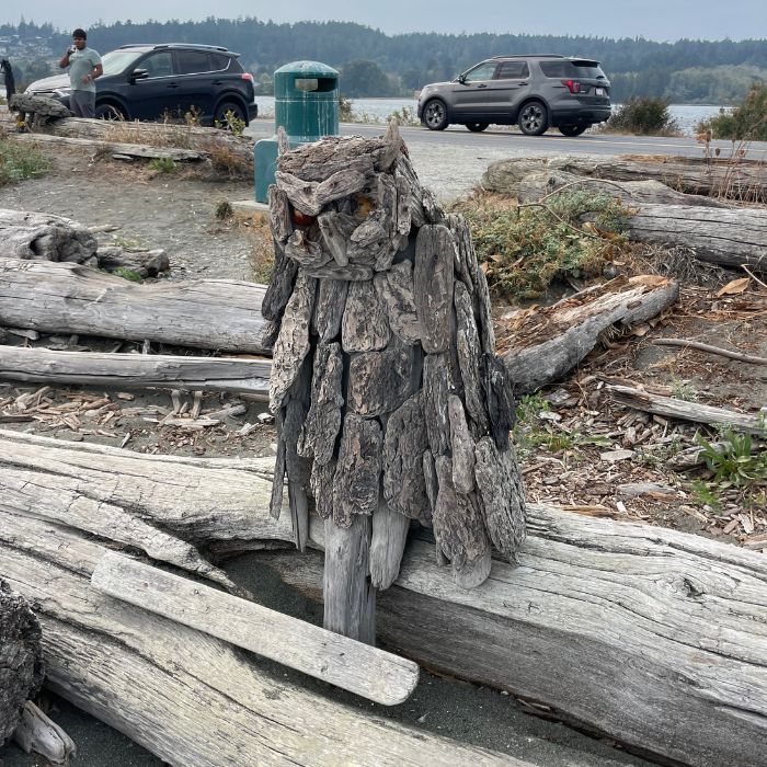 Quirky driftwood owl sculpture adorned with human glasses, adding a whimsical touch as it sits observantly on a branch near Esquimalt Lagoon.