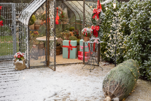 Dream winter-ready outdoor space snow Christmas lighting