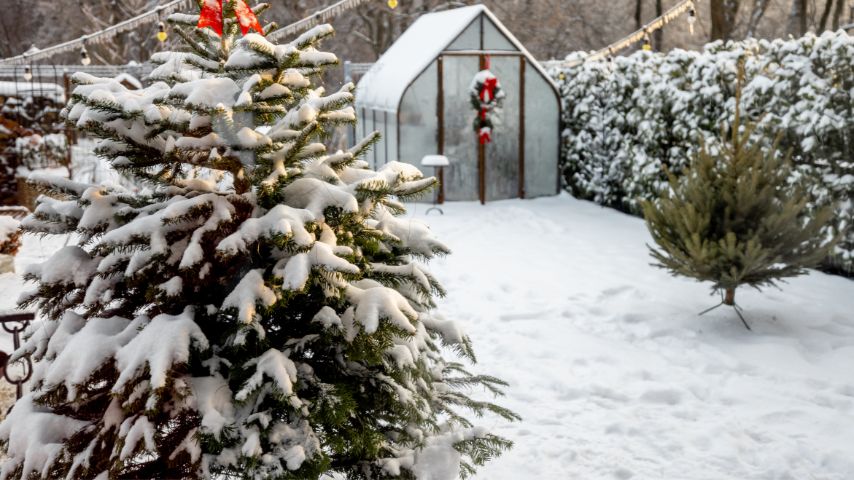 5 Ways to Build Your Dream Winter-Ready Outdoor Space