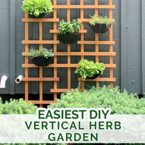 Backyard outdoor patio easy diy vertical herb garden