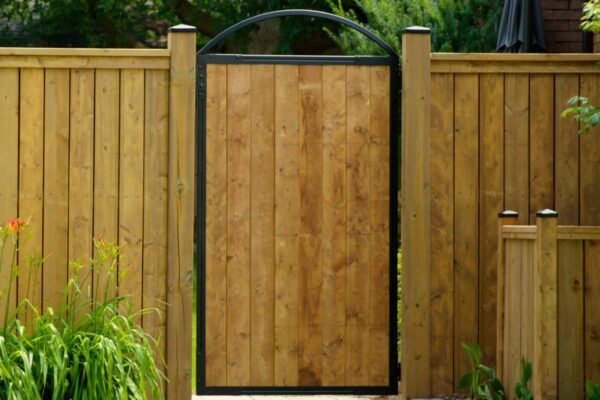 Wood gate with black steel Pro Gate Frame, arched top, installed in a backyard cedar privacy fence