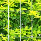 AGRICULTURAL FENCE-IMAGES - 65