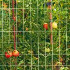 AGRICULTURAL FENCE-IMAGES - 67