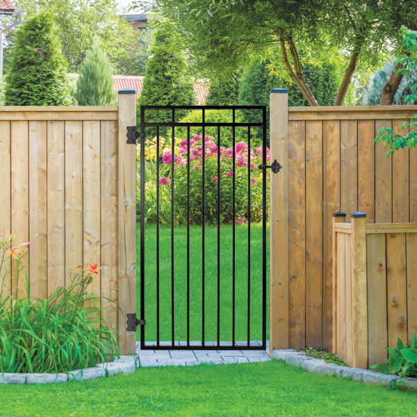 Benitoite Iron Gate | 33