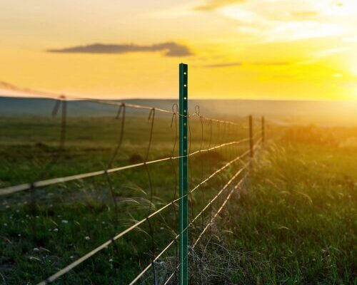 nuvo-iron-agricultural-wire-fencing-for-field-boundary-spring-install.png