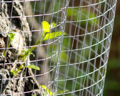 nuvo-iron-tree-protection-wire-fence-mesh-for-garden-and-landscape.png